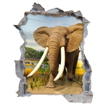 Vinilos pared rota 3d elefantes áfrica